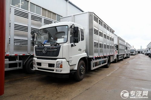 華容9米6畜禽運輸車 程力汽車全國直銷，專業運輸新選擇